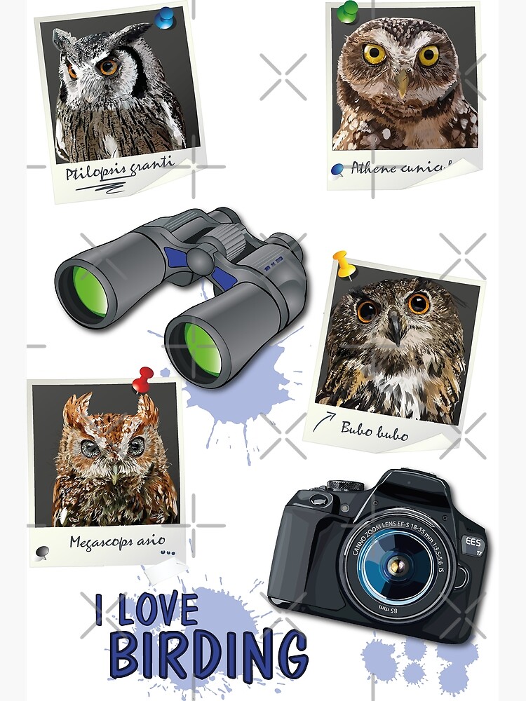 Discover birding Premium Matte Vertical Poster