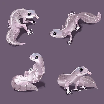 Artwork thumbnail, Gecko Pattern by lolliegag
