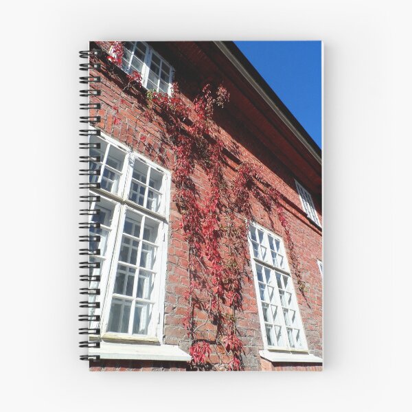 Aperçu de l'œuvre Old Facade créée et vendue par hoganartgarage.
