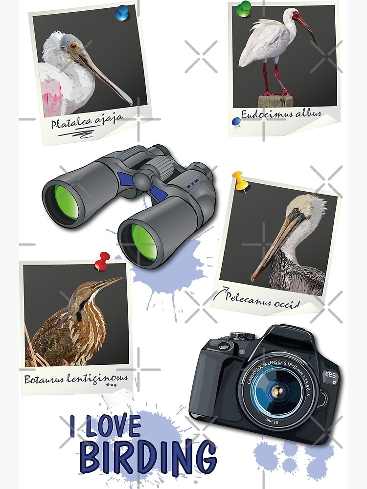 Disover birding Premium Matte Vertical Poster