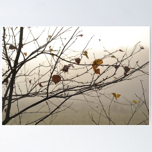 Aperçu de l'œuvre Autumn créée et vendue par Elfchen.