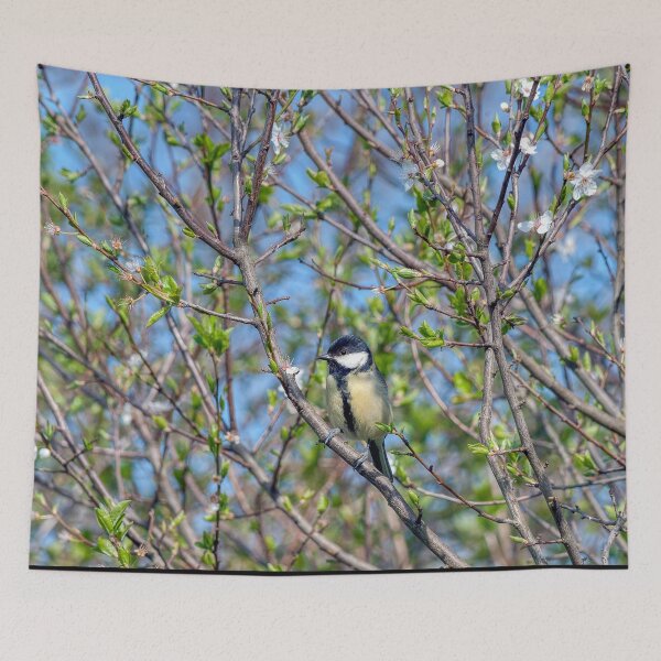 Item preview, Great Tit - Springtime designed and sold by Steve H Clark.