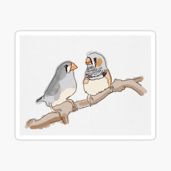 Item preview, A Pair of Zebra Finches designed and sold by ningynoo.