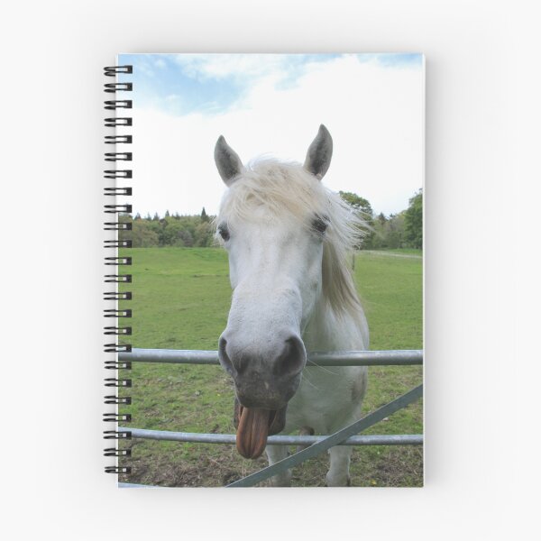 Item preview, Horsing Around designed and sold by sandysshoots.