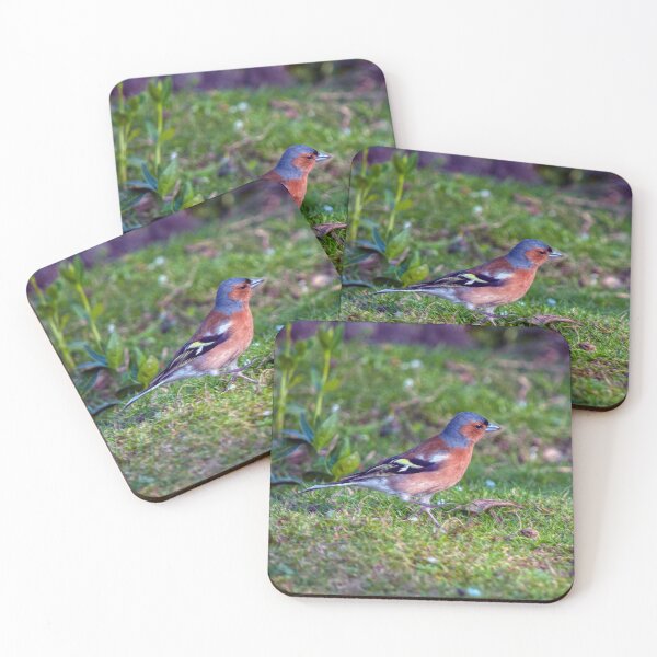 Item preview, Chaffinch designed and sold by Steve H Clark.