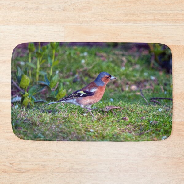 Item preview, Chaffinch designed and sold by Steve H Clark.