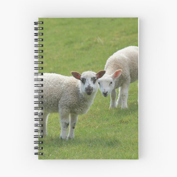 Item preview, Lambs  designed and sold by sandysshoots.
