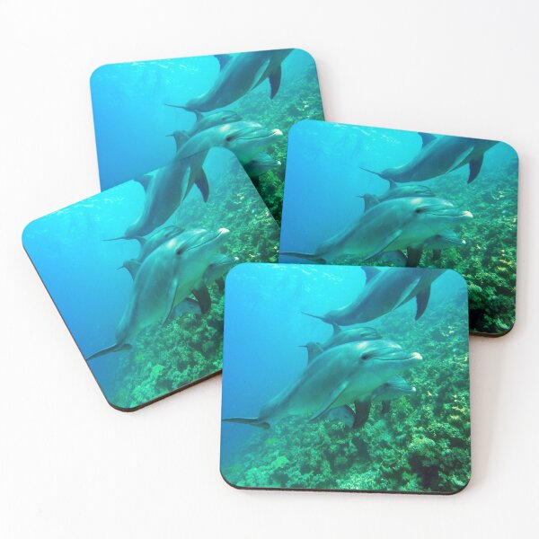 Item preview, Spinner Dolphin designed and sold by oxyten.