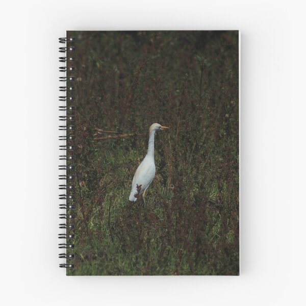 Item preview, Cattle Egret Standing in a Meadow designed and sold by rhamm.