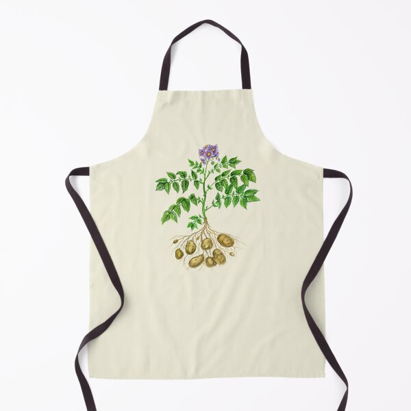 Item preview, Potato (Solanum tuberosum) designed and sold by Tamara Clark.
