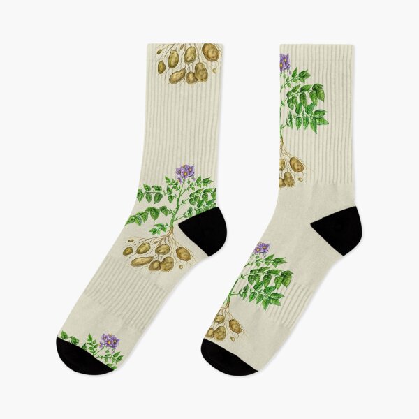 Item preview, Potato (Solanum tuberosum) designed and sold by Tamara Clark.