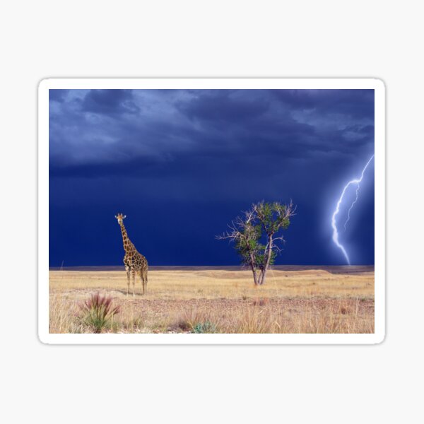 "Giraffe Lightning Safari" Sticker for Sale by CCalligraphyT Redbubble