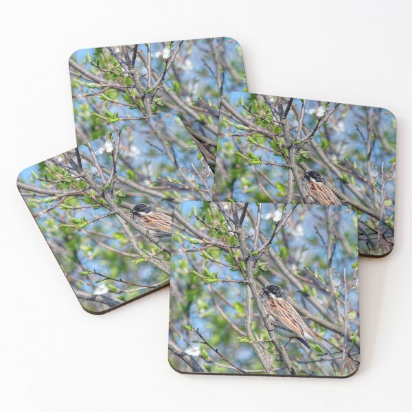 Item preview, Reed Bunting - Springtime designed and sold by Steve H Clark.