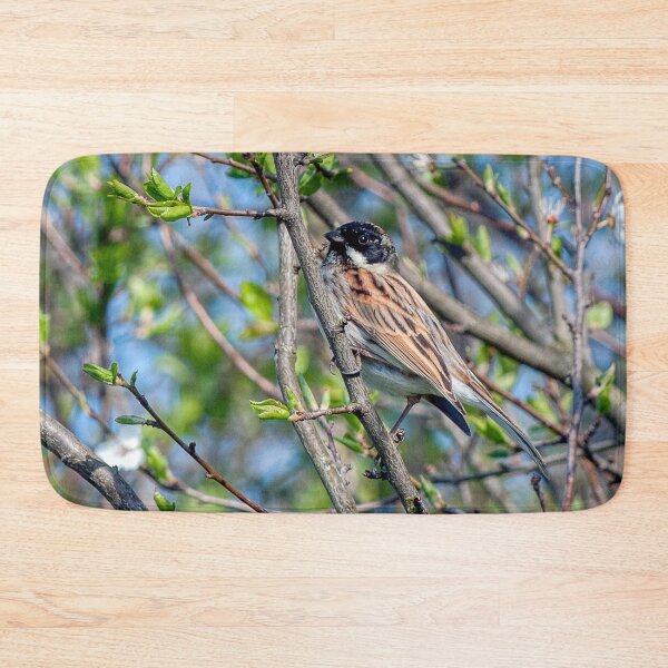 Item preview, Reed Bunting - Springtime designed and sold by Steve H Clark.