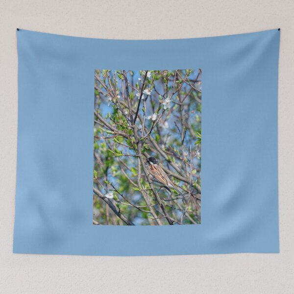 Item preview, Reed Bunting - Springtime designed and sold by Steve H Clark.