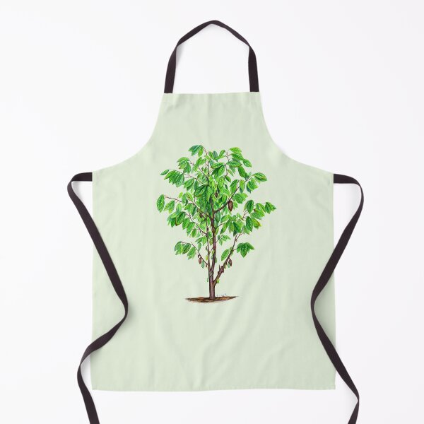 Item preview, Cacao Tree (Theobroma cacao) designed and sold by Tamara Clark.