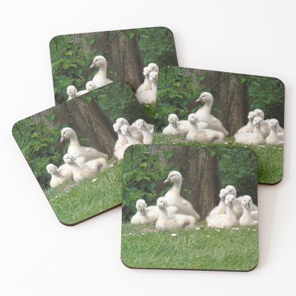 Item preview, Lovely cygnets designed and sold by Anita van Gendt.