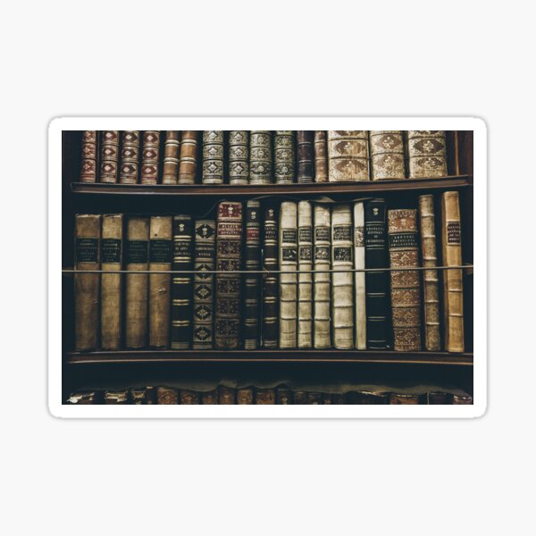 Bookshelf Socks - Bibliophile Gift Sticker
