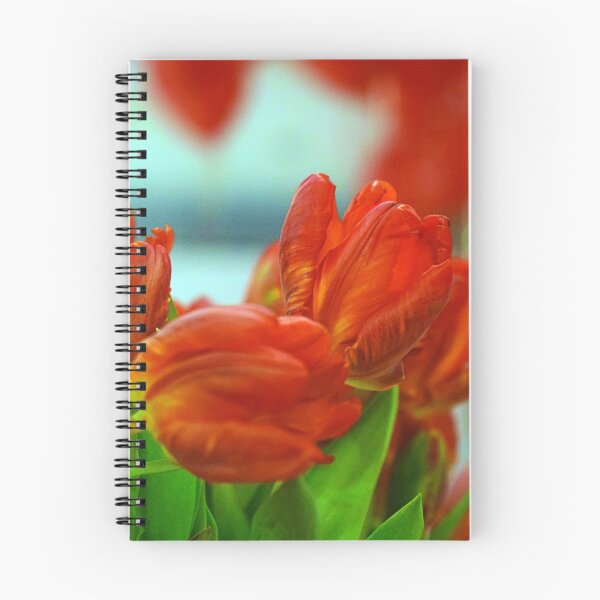 Artikelvorschau, Blutrote Tulpen zum Valentinstag entworfen und verkauft von PhotoCDesign.