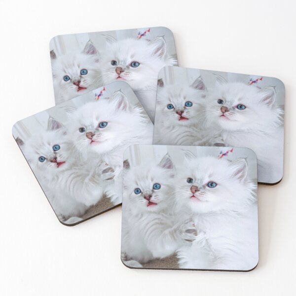Item preview, Cheeky ragdoll kittens designed and sold by Fluffycat2020.