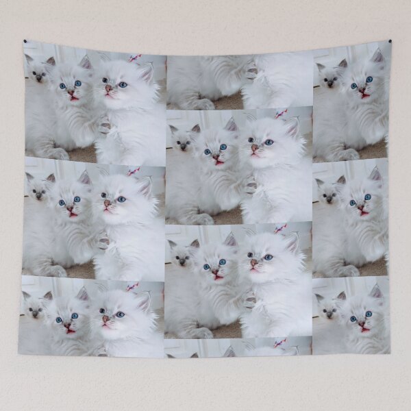 Aperçu de l'œuvre Chatons ragdoll effrontés créée et vendue par Fluffycat2020.