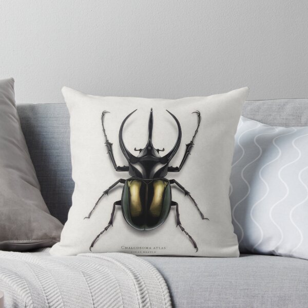 Item preview, Atlas Beetle designed and sold by tillieke.