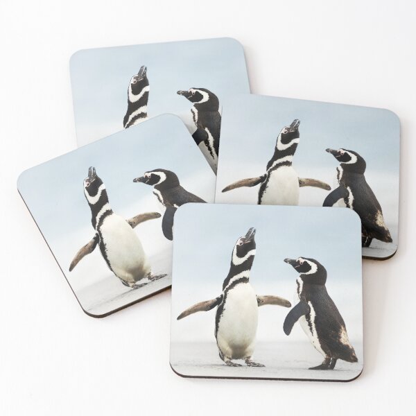 Item preview, Magellanic penguins on a beach designed and sold by dgwildlife.