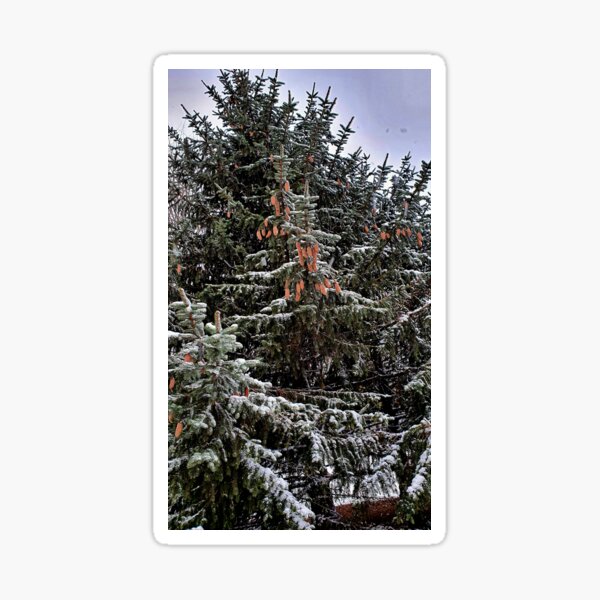 Item preview, winter fir tree designed and sold by Luci3120.