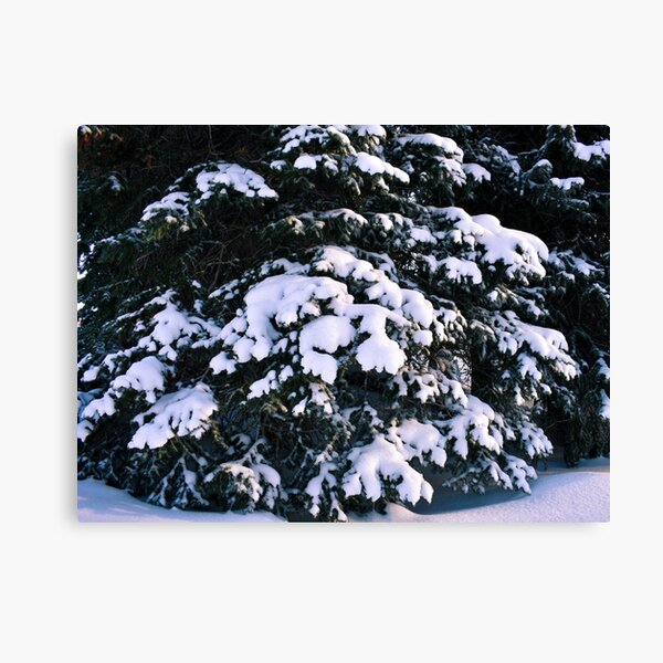 Item preview, Snowy Pine Trees designed and sold by Avila Loomis.