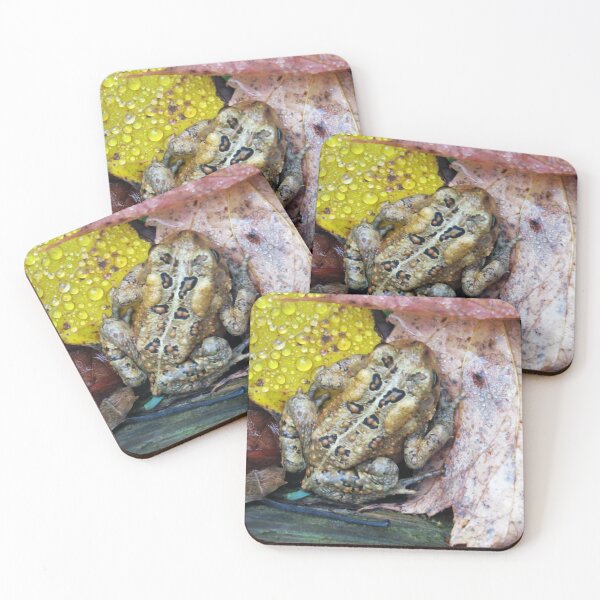 Item preview, American Toad designed and sold by WoodburyLake.