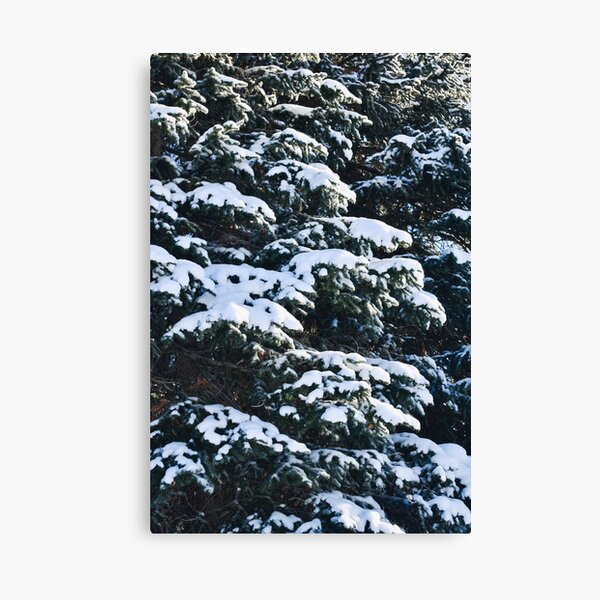 Item preview, Snowy Winter Pine Trees  designed and sold by Avila Loomis.