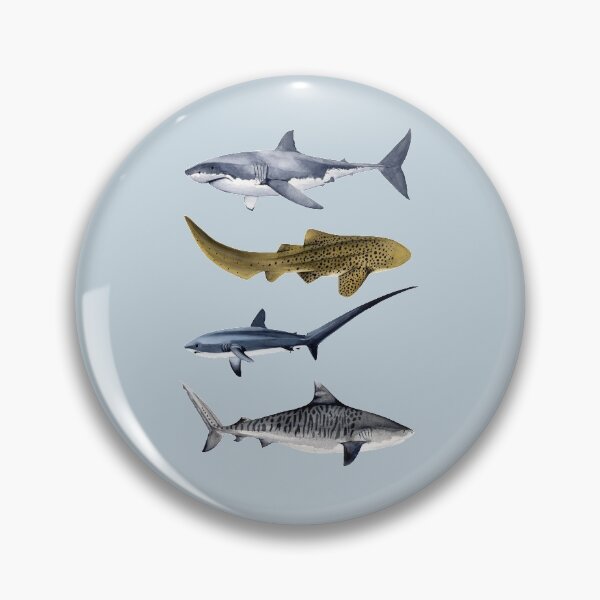 Item preview, SHARKS VI-great white, zebra, thresher & tiger sharks designed and sold by BEATRIZ ABAITUA.