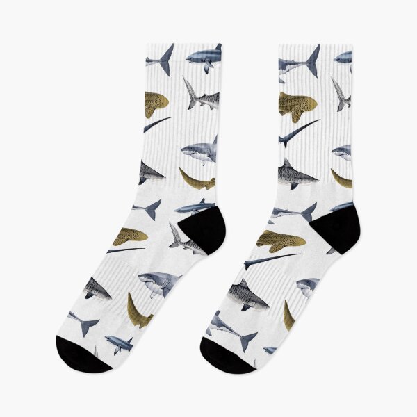 Item preview, SHARKS VI-great white, zebra, thresher & tiger sharks designed and sold by BEATRIZ ABAITUA.