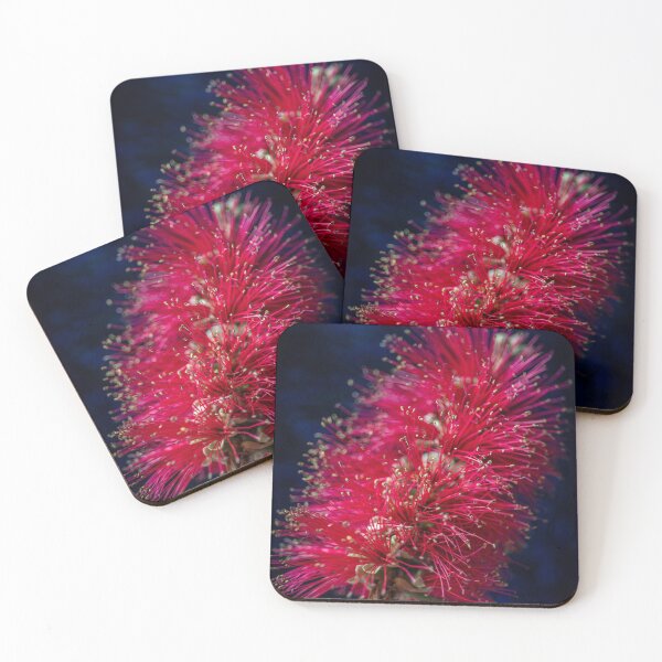 Item preview, Bottlebrush, Australian Native Plant, Victoria, Australia designed and sold by Vicki Walsh.