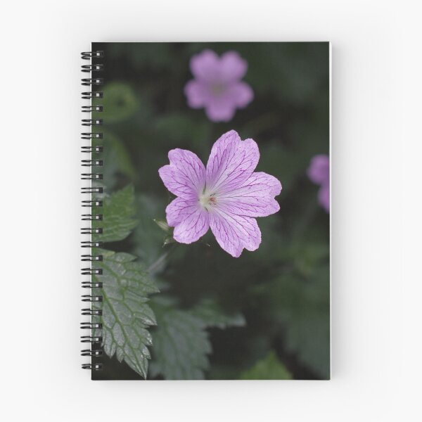 Item preview, Pencilled Crane’s-bill designed and sold by Robert Carr.