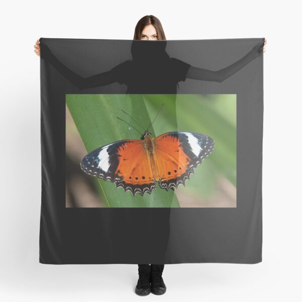Orange Lacewing Scarf