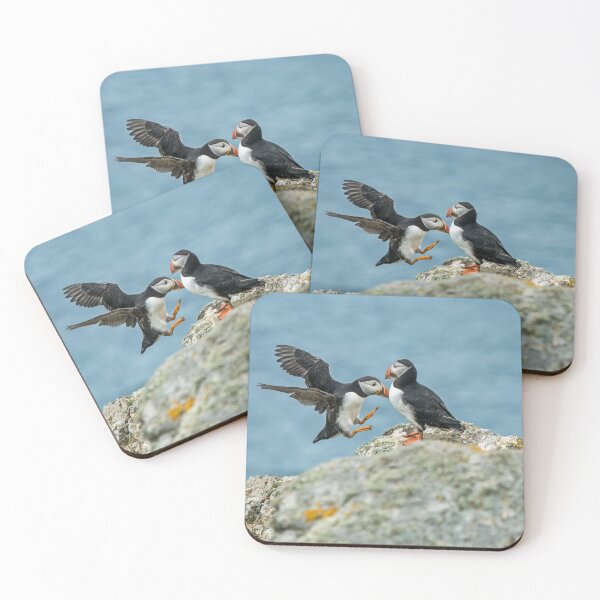 Item preview, Puffin Crash on Skomer Island. Puffins are fun, friendly, comical and all round sweet birds. Here on Skomer they are carefully monitored.  designed and sold by Cameranick.
