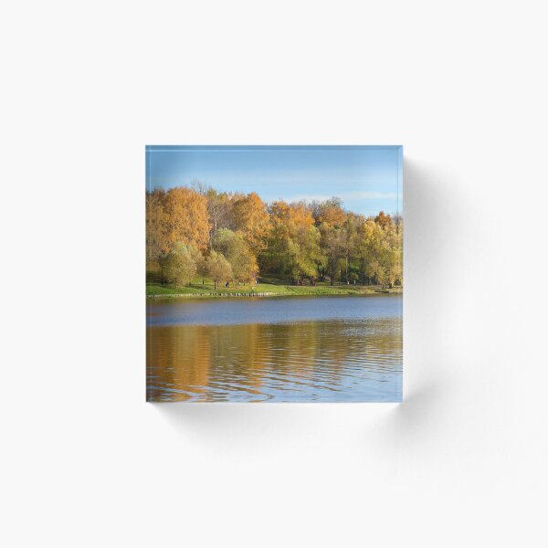 Aperçu de l'œuvre Forêt d'automne autour du lac. créée et vendue par ivorry.