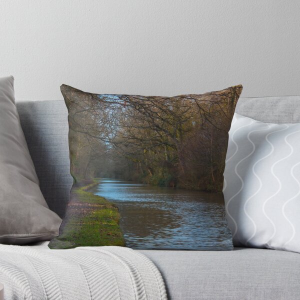 Artikelvorschau, Canal under Cover in the winters sun entworfen und verkauft von Avril Harris.
