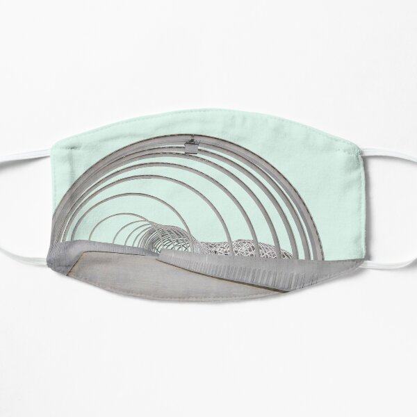 Webb Bridge Flat Mask