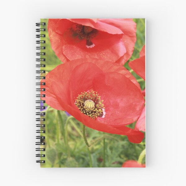 Item preview, Poppies  designed and sold by sandysshoots.