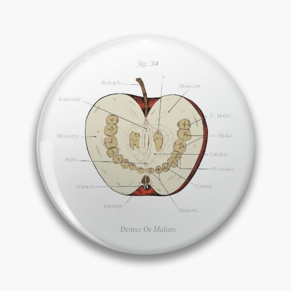 Discover The Magnus Archives - Anatomy Class - Teeth Apple | Pin