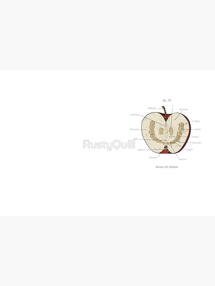 The Magnus Archives - Anatomy Class - Teeth Apple by RustyQuill