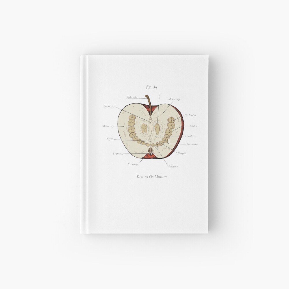The Magnus Archives - Anatomy Class - Teeth Apple Hardcover Journal