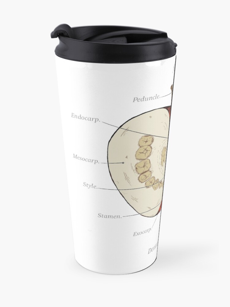 Alternate view of The Magnus Archives - Anatomy Class - Teeth Apple Travel Mug