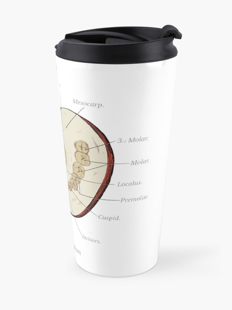 Alternate view of The Magnus Archives - Anatomy Class - Teeth Apple Travel Mug