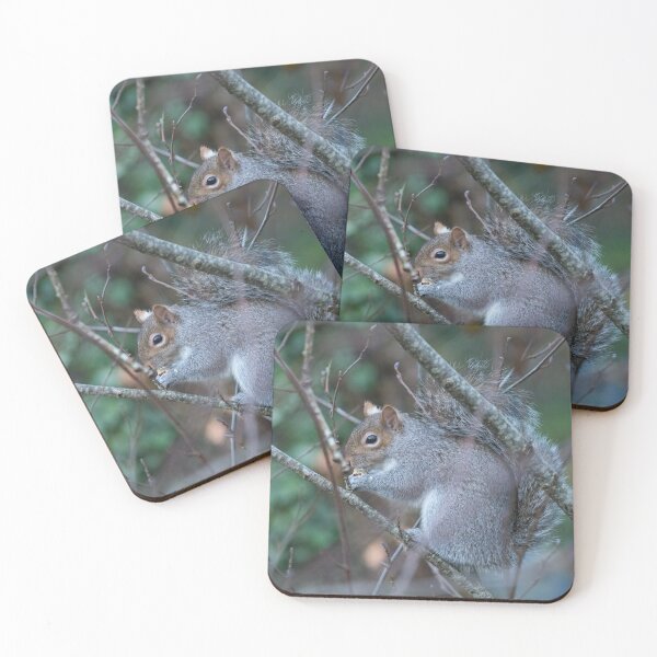 Item preview, Nutty Squirrel  designed and sold by Tony Skerl.