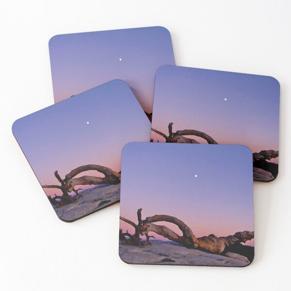 Item preview, Ansel's Jeffrey Pine designed and sold by Nancy Richard.