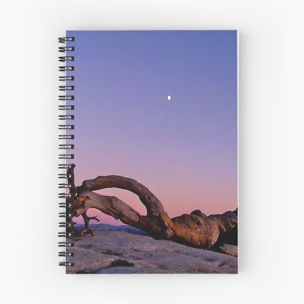 Item preview, Ansel's Jeffrey Pine designed and sold by Nancy Richard.