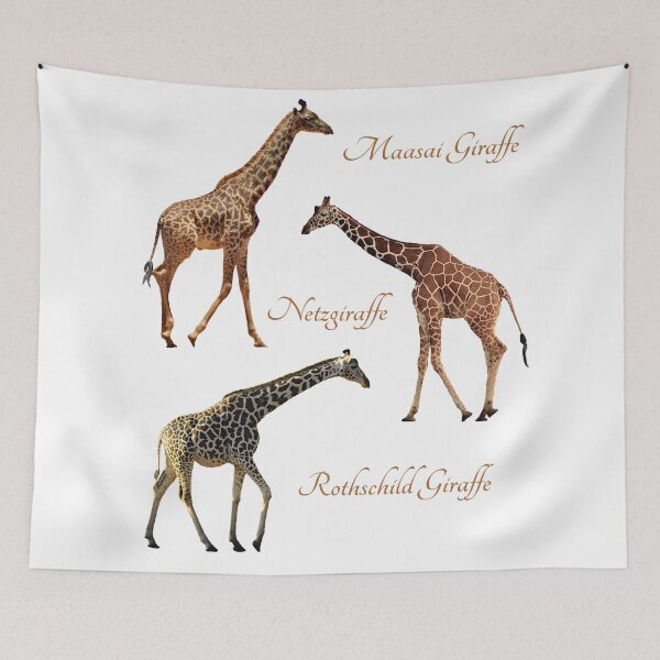 Item preview, 3 species of giraffes in Kenya / Africa designed and sold by TShirtsundMehr.
